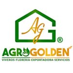 agrogolden